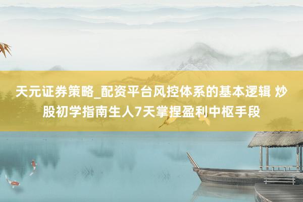 天元证券策略_配资平台风控体系的基本逻辑 炒股初学指南生人7天掌捏盈利中枢手段