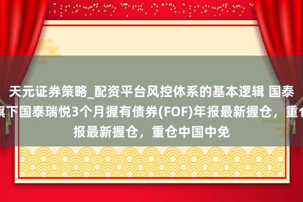 天元证券策略_配资平台风控体系的基本逻辑 国泰基金曾辉旗下国泰瑞悦3个月握有债券(FOF)年报最新握仓，重仓中国中免
