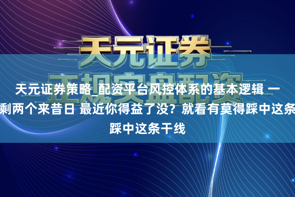 天元证券策略_配资平台风控体系的基本逻辑 一月还剩两个来昔日 最近你得益了没？就看有莫得踩中这条干线