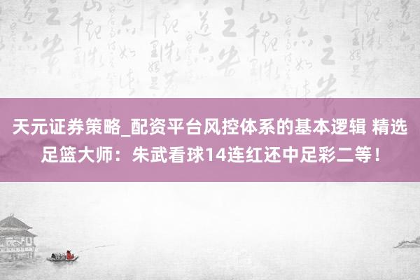 天元证券策略_配资平台风控体系的基本逻辑 精选足篮大师：朱武看球14连红还中足彩二等！
